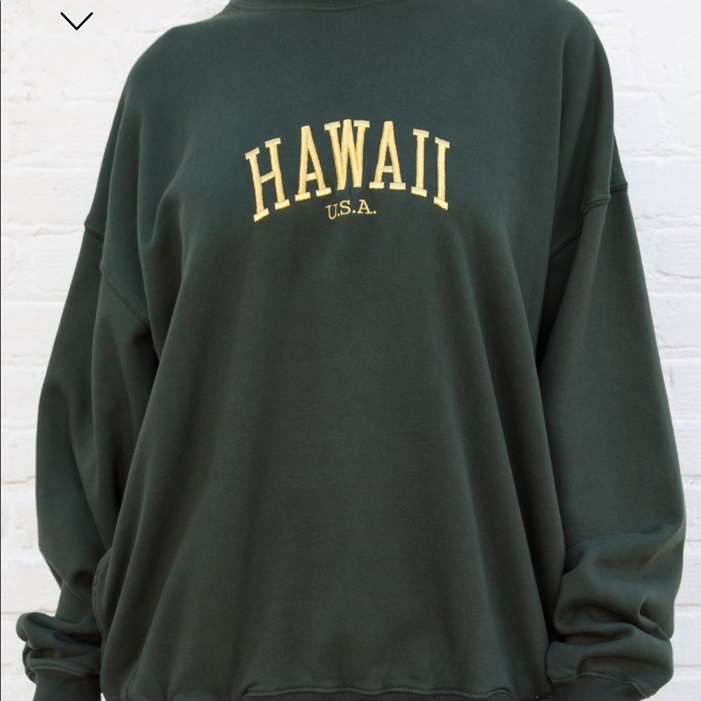 Brandy Melville green oversized crewneck